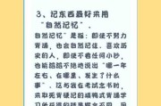 如何利用睡前时间进行高效学习