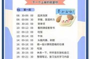 时间管理在备考中的应用技巧与方法